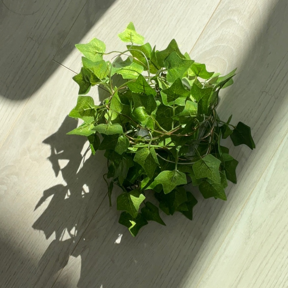 💚 𝗟𝗜𝗚𝗛𝗧𝗦 𝗨𝗣! Artificial Green Ivy vines